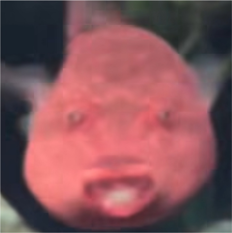 [trigger medium mentionlist FISH] - #274384661 added by vampirefuuuker ...