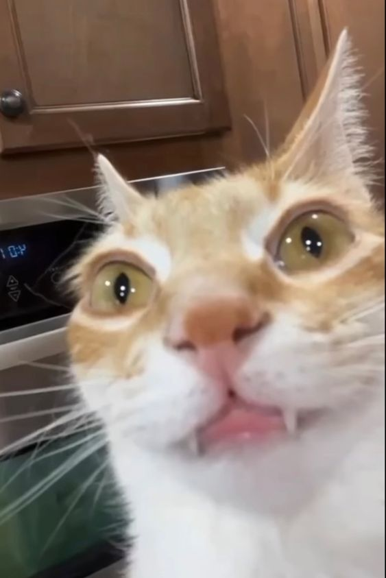 The thumbnail makes her look like Crazy Frog - #274684472 added by ...