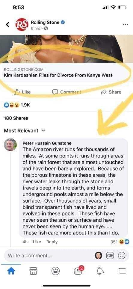 Extraordinary+dinosaur_835906_8798792.jp