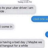 homely risque scoundrel